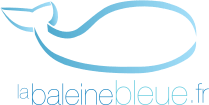 La piscine de la baleine bleue